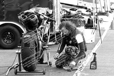 media/Feb-23-2024-2WTD (Fri) [[a719da276a]]/1-Around the Pits/